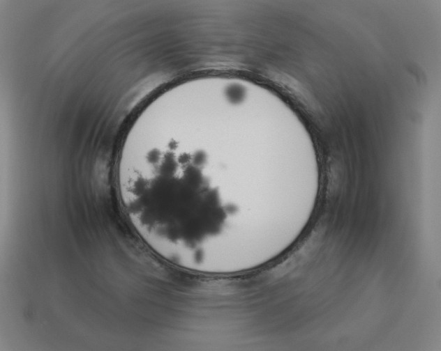 X0000113891162200910221410