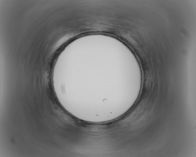 X0000113891163200910221410