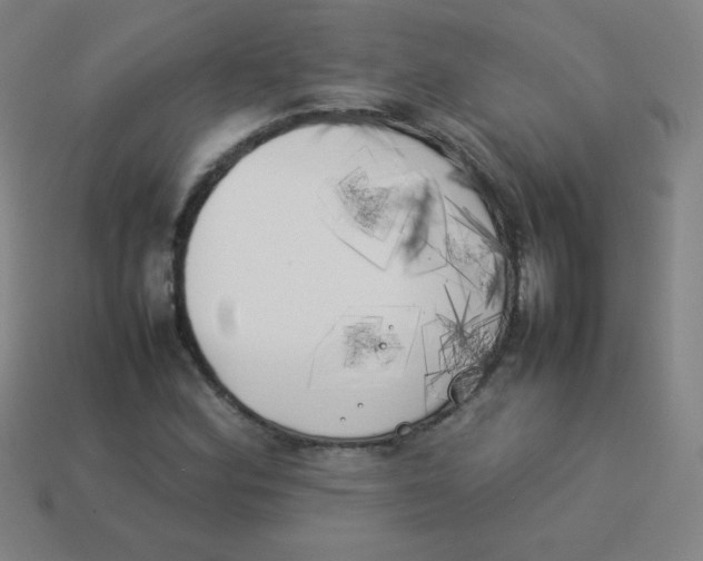 X0000113891164200910221410