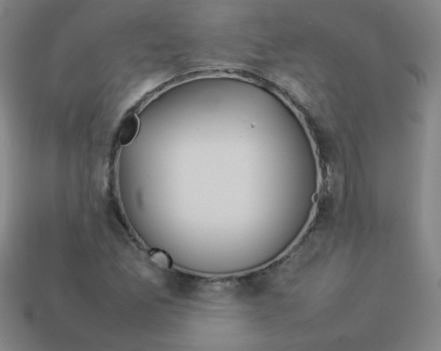 X0000113891165200910221410
