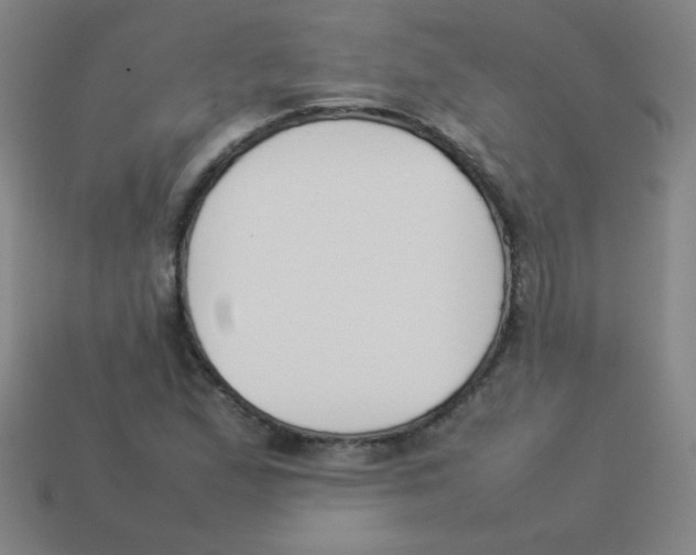 X0000113891167200910221410