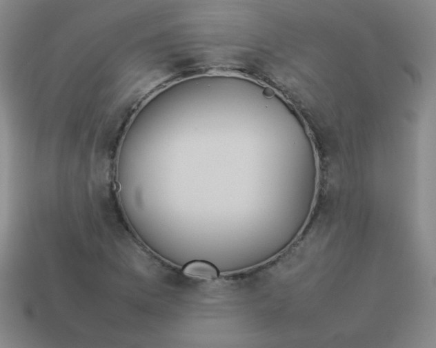 X0000113891169200910221410