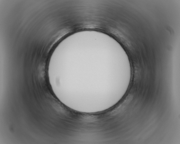 X0000113891170200910221410