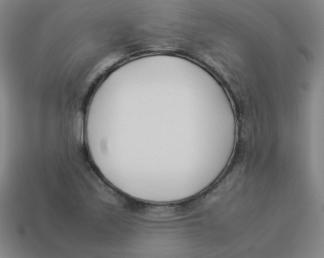 X0000113891171200910221410