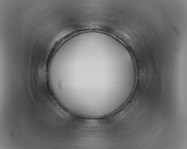 X0000113891172200910221410
