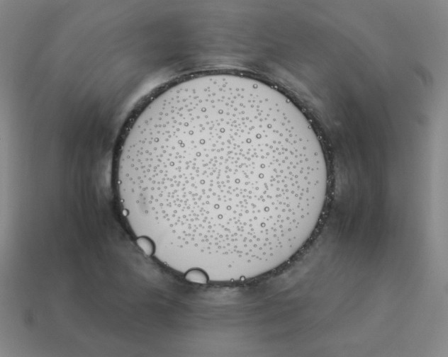 X0000113891174200910221410
