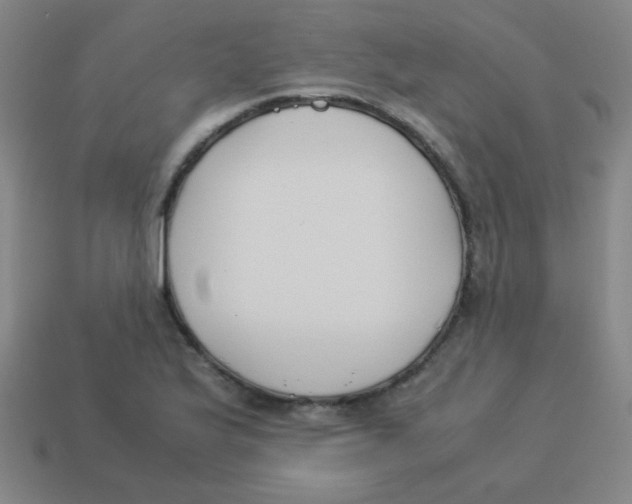 X0000113891175200910221410