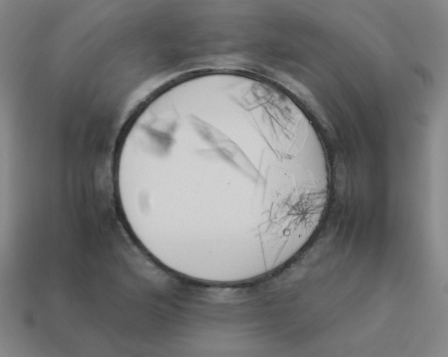 X0000113891176200910221410