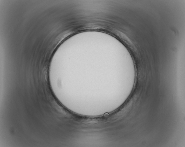 X0000113891177200910221410