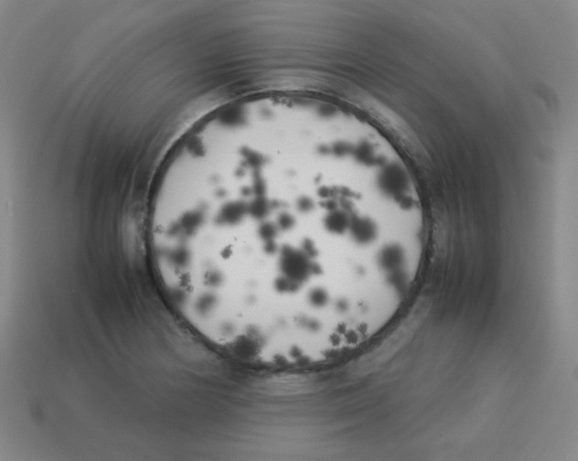 X0000113891178200910221410