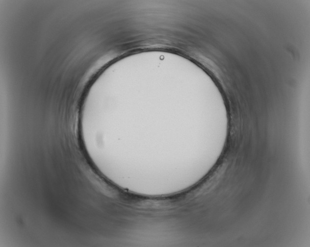 X0000113891179200910221410