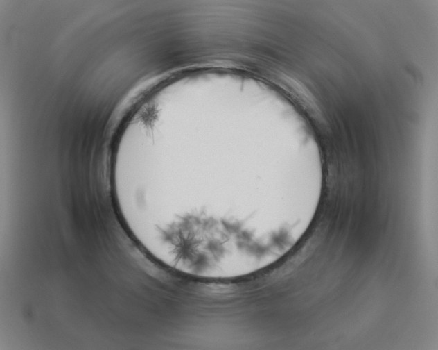 X0000113891180200910221410