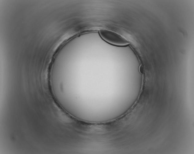 X0000113891181200910221410