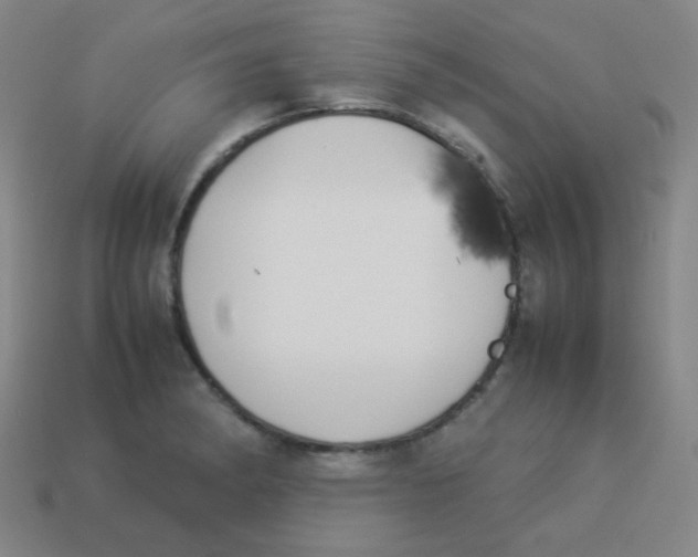 X0000113891182200910221410