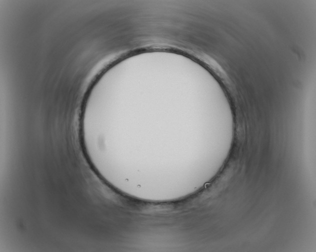 X0000113891183200910221410