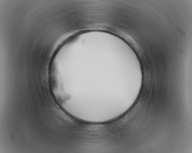 X0000113891184200910221410