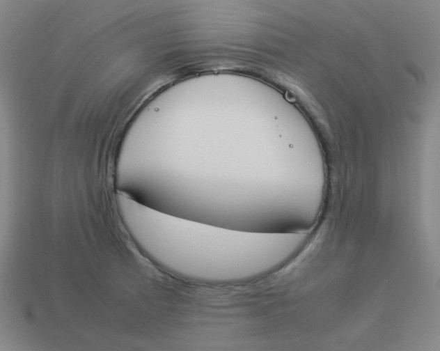 X0000113891185200910221410