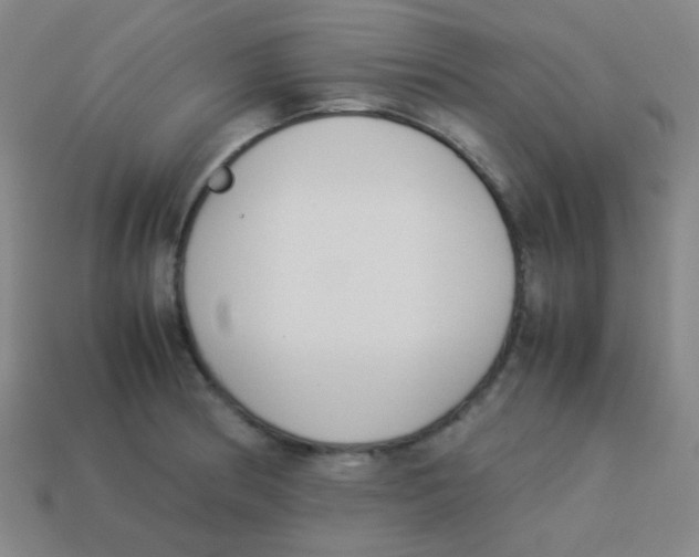 X0000113891186200910221410