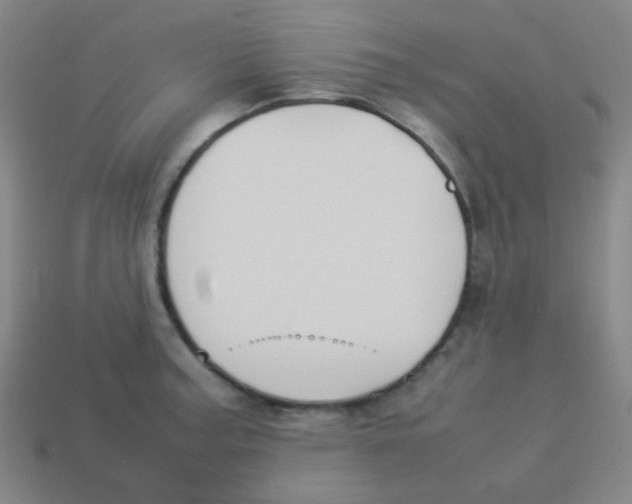 X0000113891187200910221410