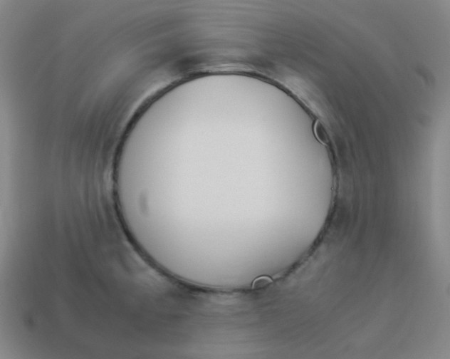X0000113891189200910221410