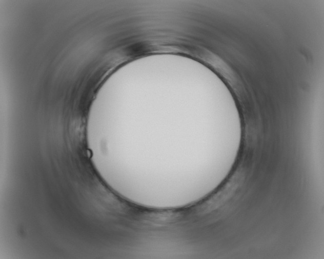 X0000113891193200910221410