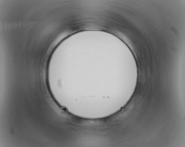X0000113891195200910221410