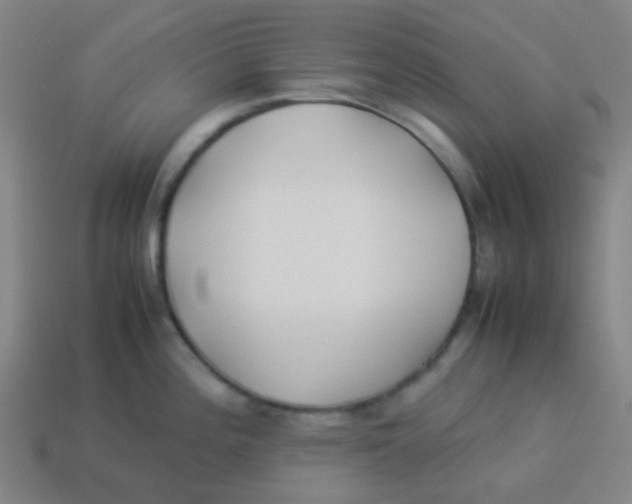 X0000113891196200910221410