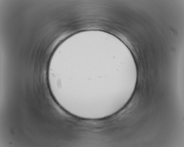 X0000113891197200910221410