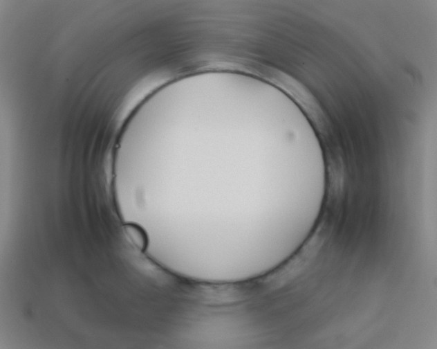 X0000113891198200910221410