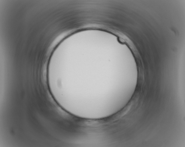 X0000113891199200910221410