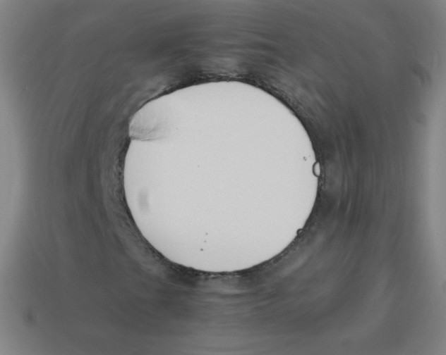 X0000113891201200910221409