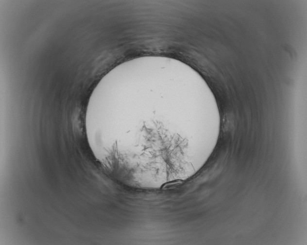 X0000113891202200910221409