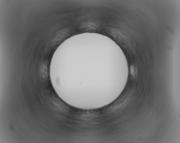 X0000113891203200910221409