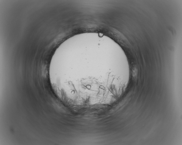 X0000113891204200910221409