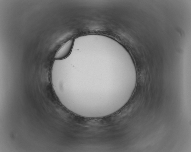 X0000113891205200910221409