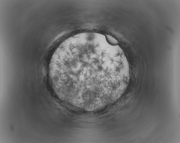 X0000113891206200910221409