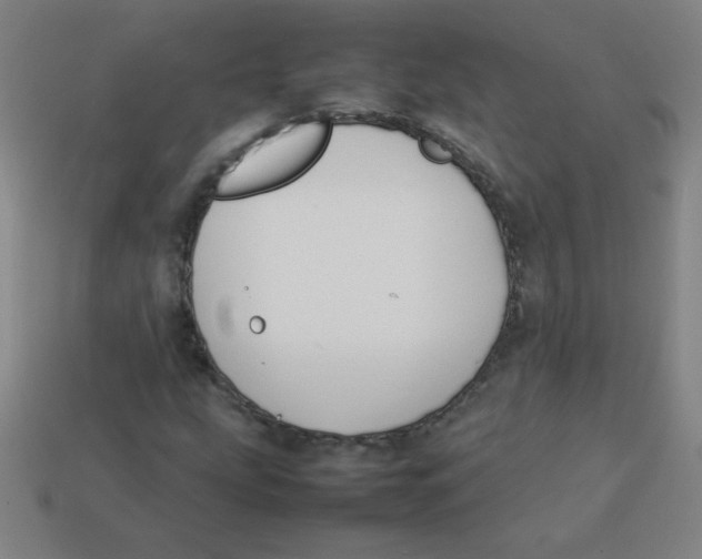 X0000113891207200910221409