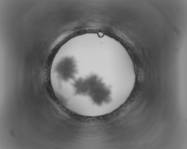X0000113891208200910221409