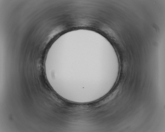X0000113891210200910221409