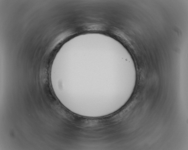 X0000113891211200910221409