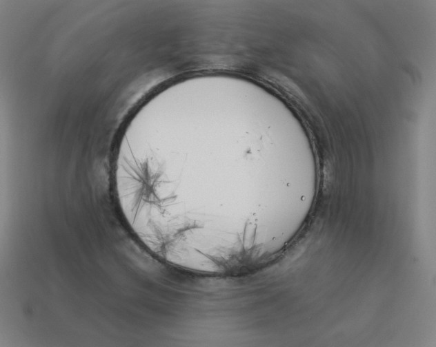 X0000113891212200910221409