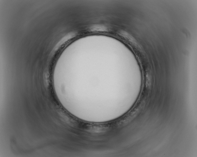 X0000113891213200910221409
