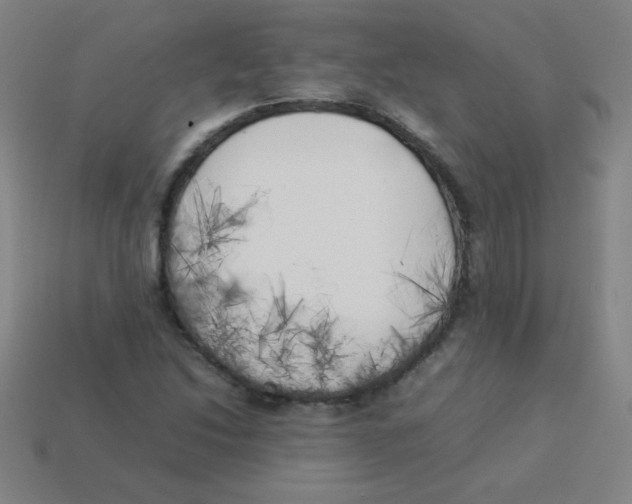 X0000113891214200910221409
