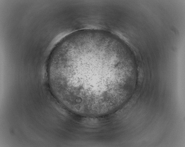 X0000113891215200910221409