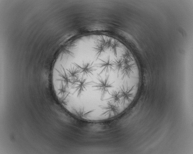 X0000113891217200910221409