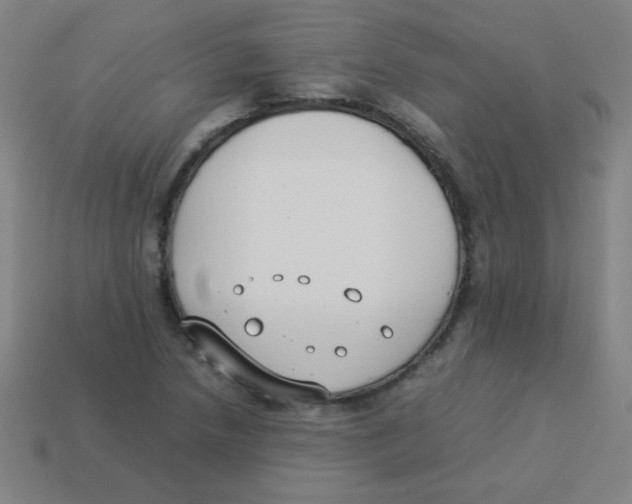 X0000113891218200910221409