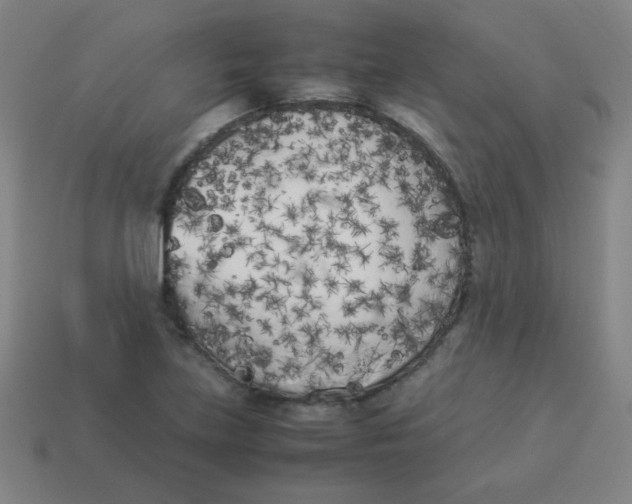 X0000113891219200910221409