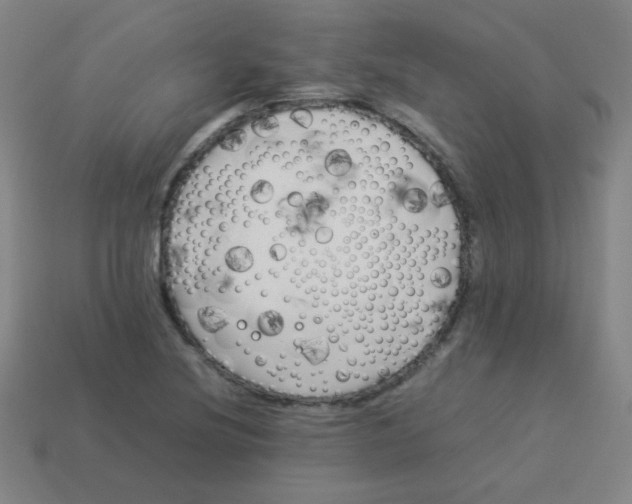 X0000113891220200910221409