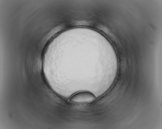 X0000113891221200910221410