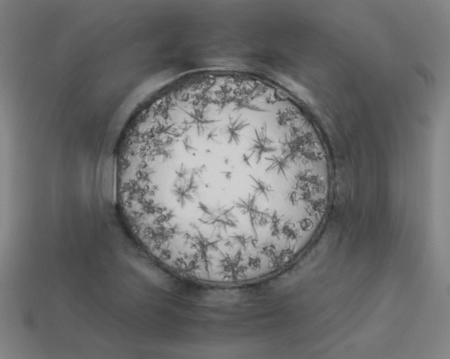 X0000113891223200910221410